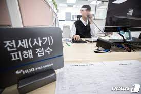 전세사기피해
