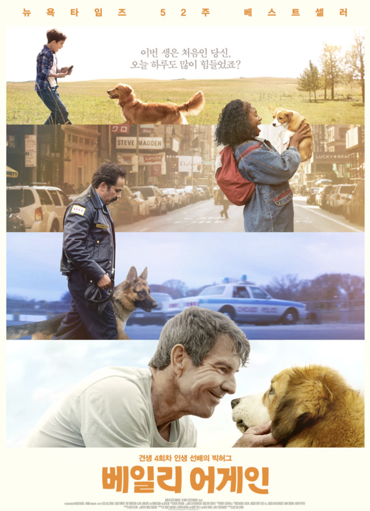 베일리 어게인 영화 이미지