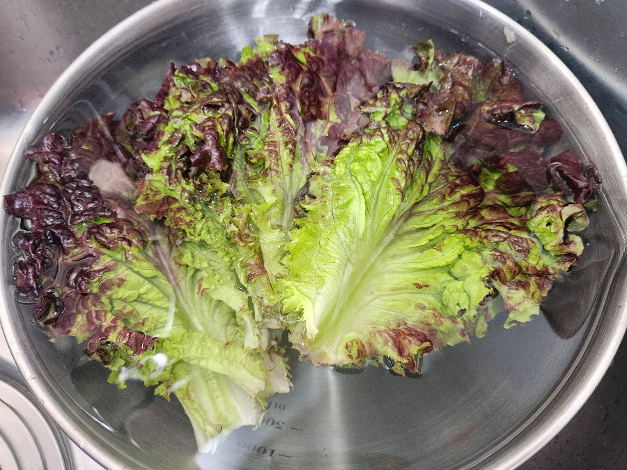 상추 겉절이 파절이