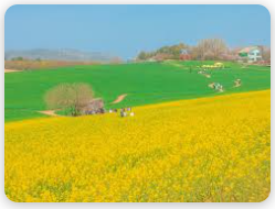 폭싹 속았수다 - 고창 학원농장 입장료