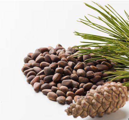 시더우드에센셜오일, 역사와 효능