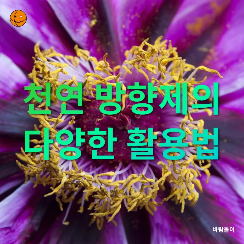 천연 방향제_3