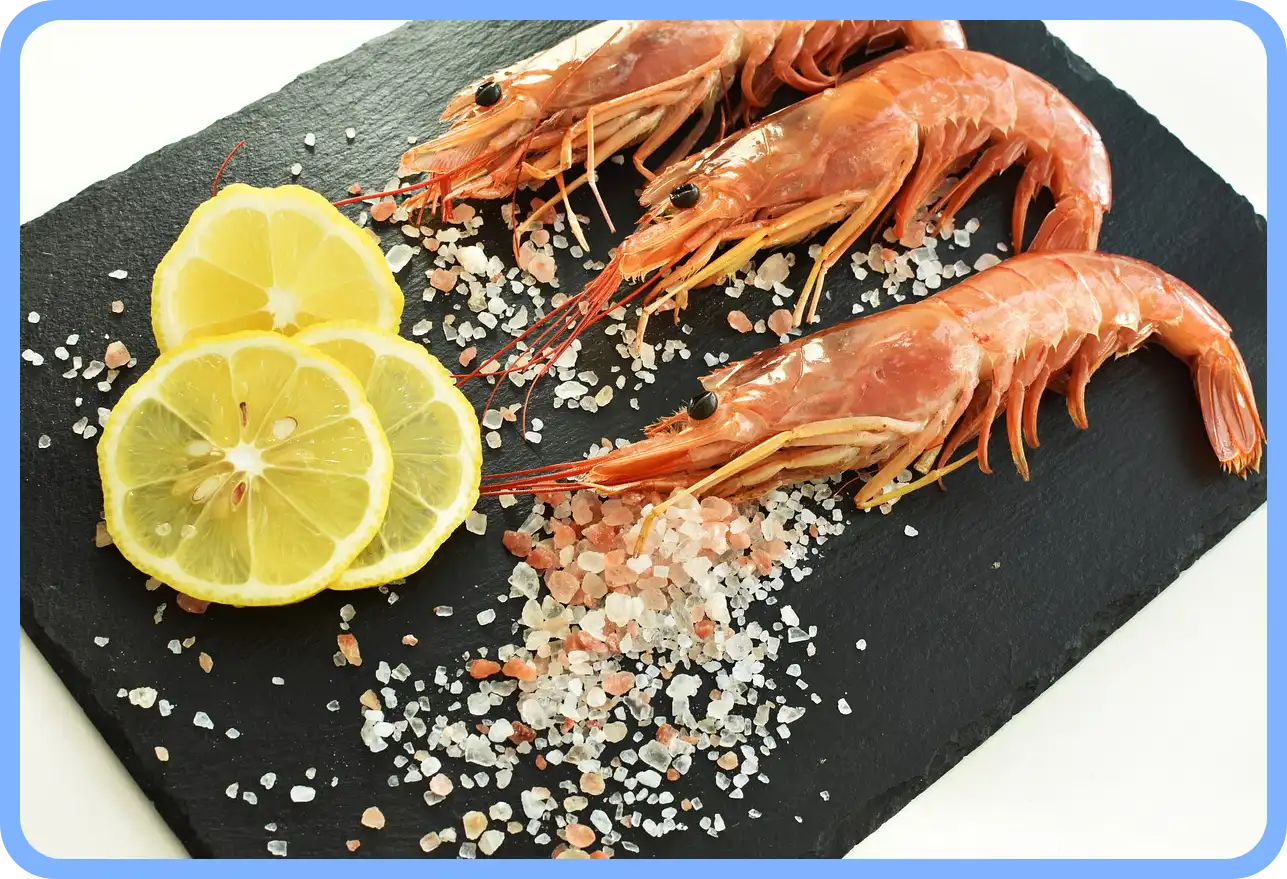 멸치젓 새우젓 굴 천일염 김장 재료 할인 세일 50% 코리아 수산 페스타