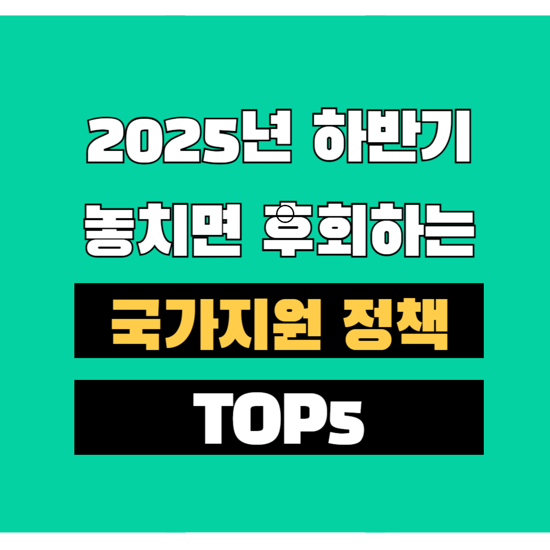 국가지원 정책 탑5