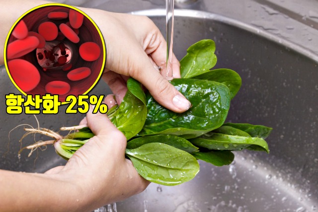 관절염에 좋은 음식 시금치 효능