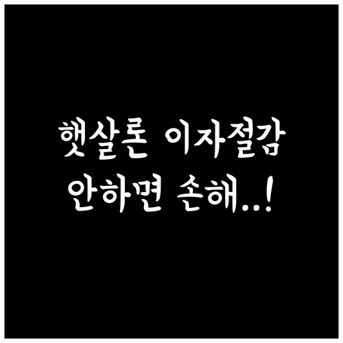 햇살론 원금 일부 상환 시 발생하는 ..