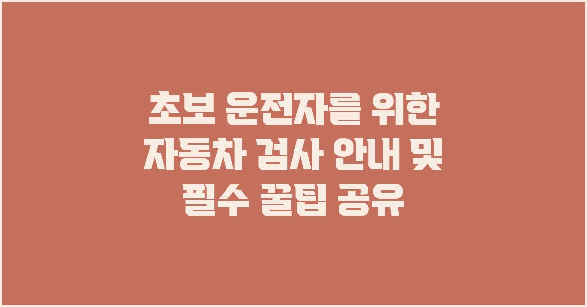 초보 운전자를 위한 자동차 검사 안내