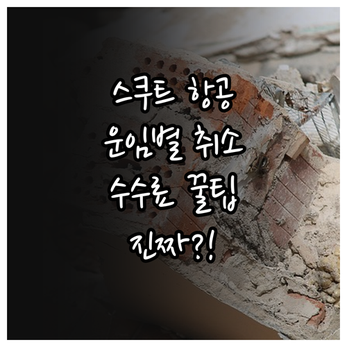 스쿠트 항공 운임별 취소 수수료 한눈..