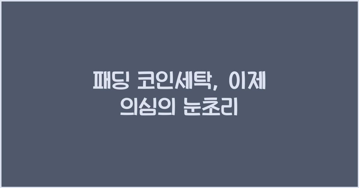 패딩 코인세탁