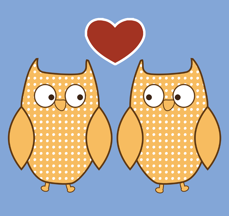 결혼하는 부엉이