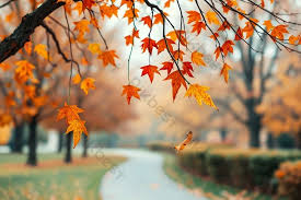 병원동행 매니저 서비스 완벽 가이드