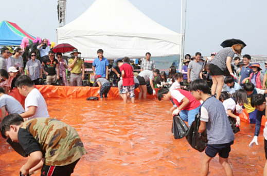  서천 홍원항 자연산 전어꽃게축제 