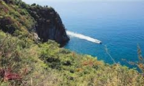 여수 금오도 여행지