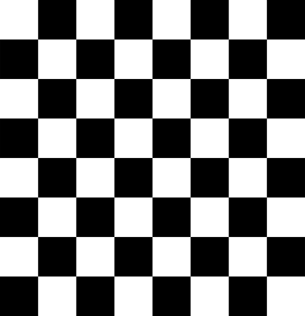 흑과 백 체스판 일러스트