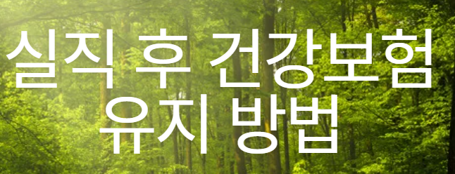 실직 후 건강보험 유지 방법