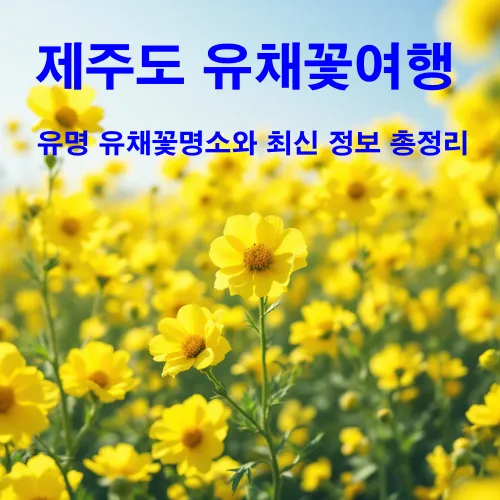 제주도-유채꽃-여행-썸네일