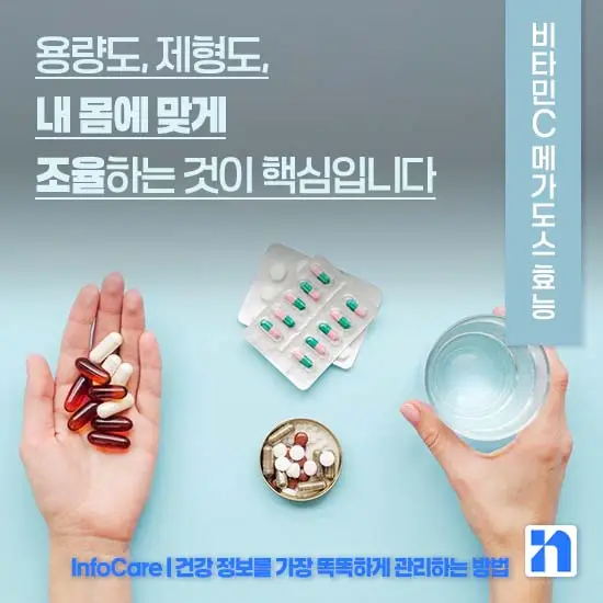 비타민C 메가도스 효능