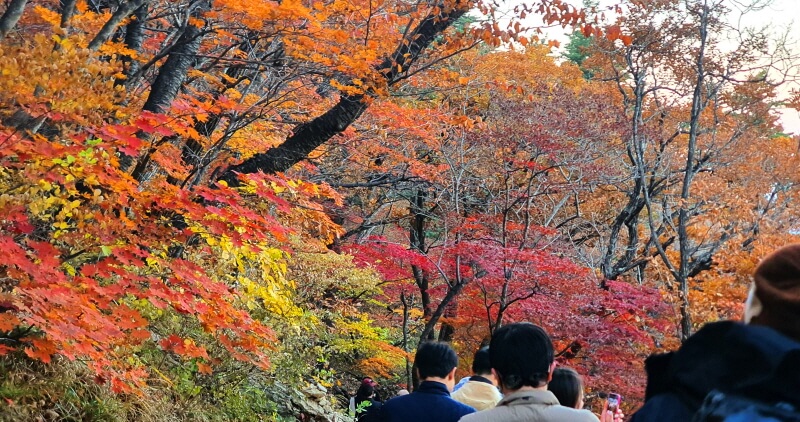 권금성-외설악-단풍