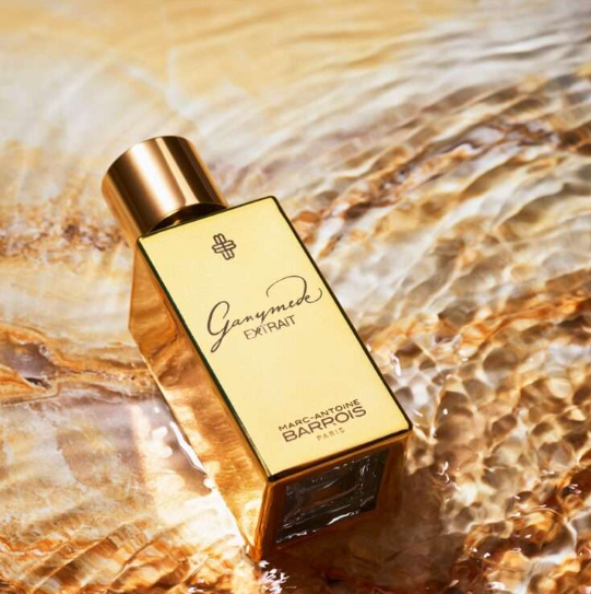 quentin bisch - ganymede