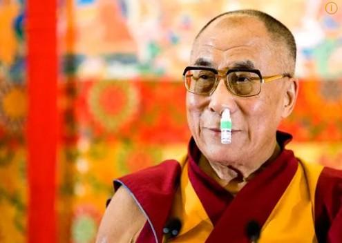 태국 야돔 효능 효과