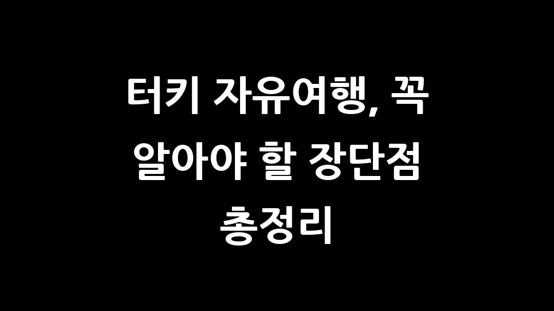 터키 자유여행, 꼭 알아야 할 장단점 총정리