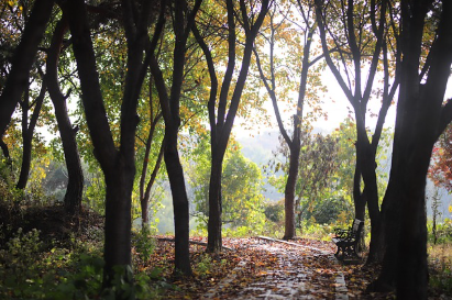 쉬었는데 더 피곤한 사람들에게 필요한 마이크로 리커버리