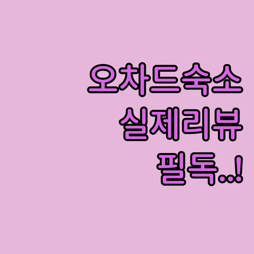 실제 리뷰로 알아본 싱가포르 오차드 ..