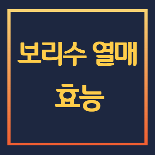 보리수 열매 효능