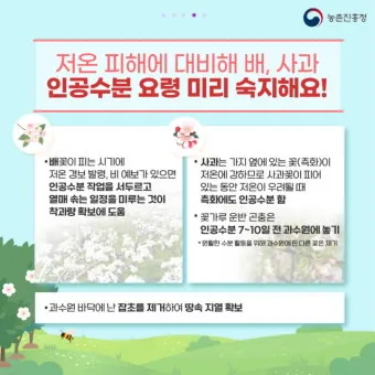 서리 발생 시기 농작물 보온 비닐 덮기 텃밭 관리_25