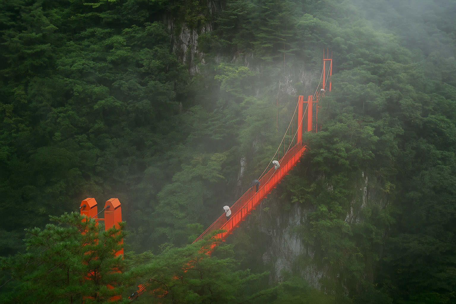 강천산 군립공원 사진
