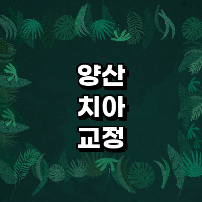 양산시 교정 치과
