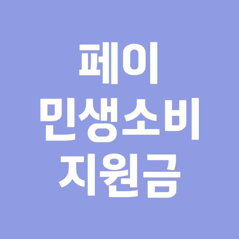 페이 민생소비지원금