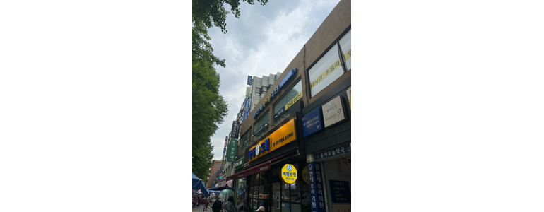 서울 서대문구 고지혈증