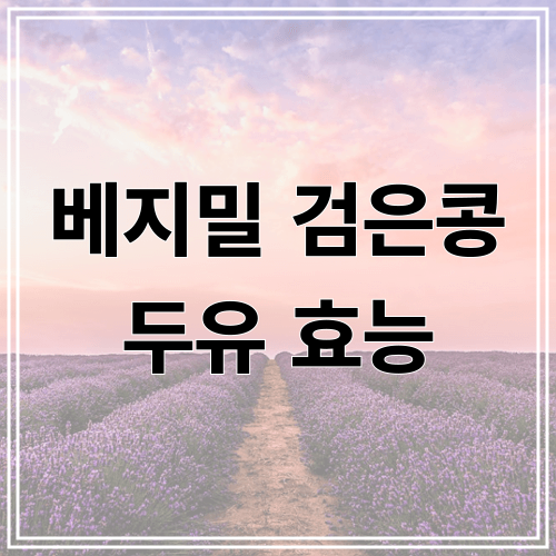 베지밀 검은콩 두유 효능