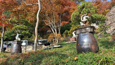 단풍명소_화담숲_모노레일