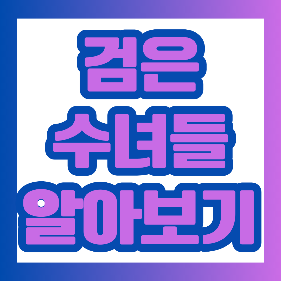 검은 수녀들 영화 소개 포스팅에 대한 대표 이미지.