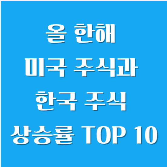 올 한해 미국 주식과 한국 주식 상승률 TOP 10