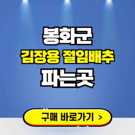 봉화군 절임배추 사전예약 구입하는곳 ❘ 김장배추 파는곳 가격보기