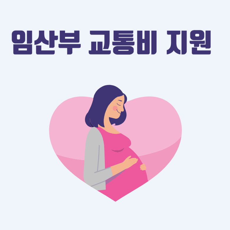 임산부 교통지 지원