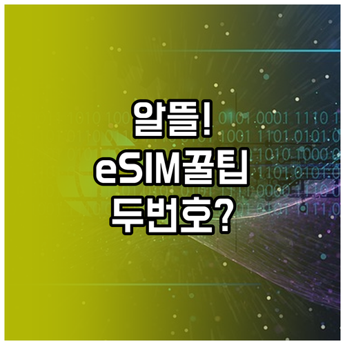 한 대의 폰으로 두 번호 쓰는 알뜰폰..