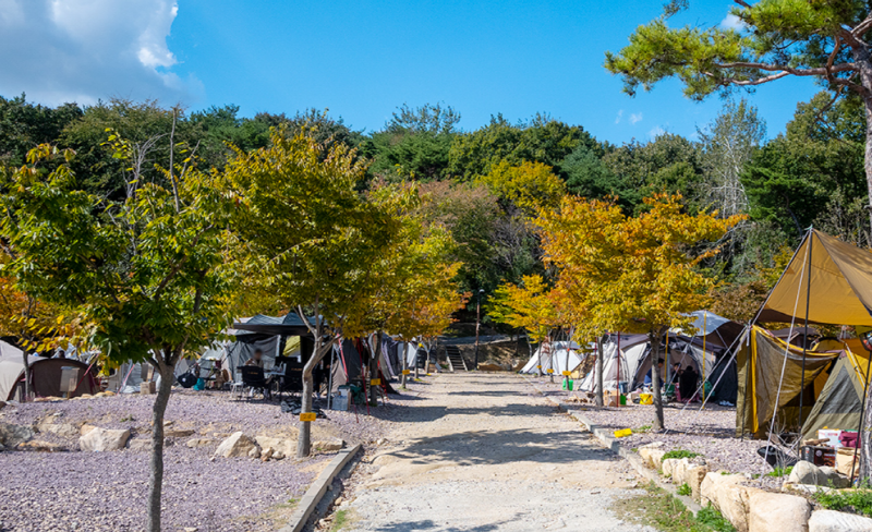 가야랜드 달빛야영장