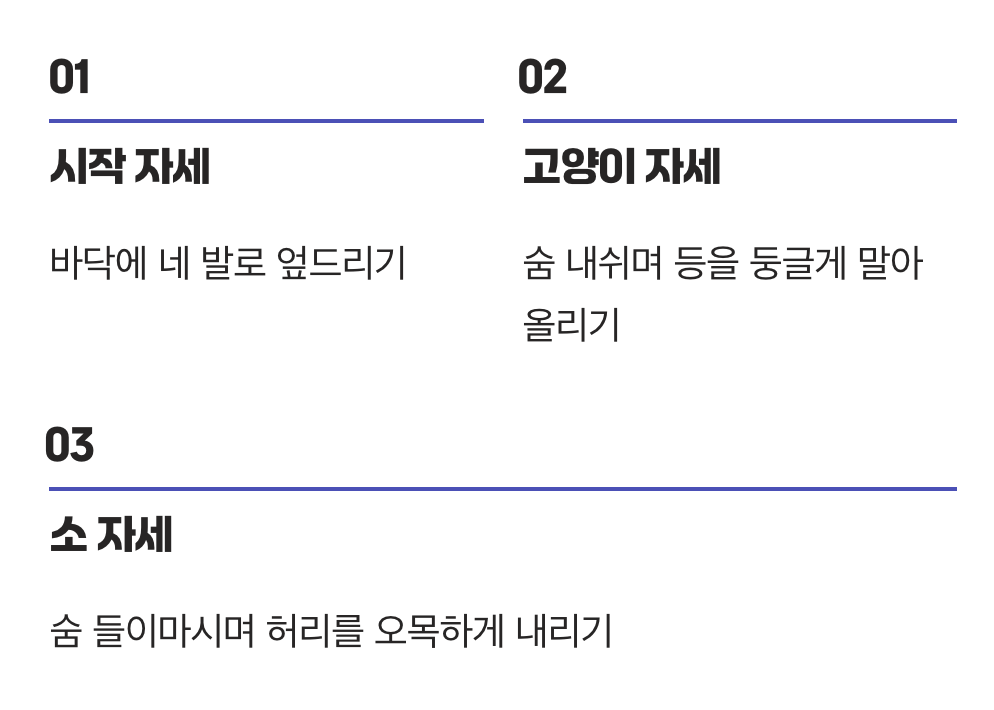 누워서 시작하는 척추 스트레칭