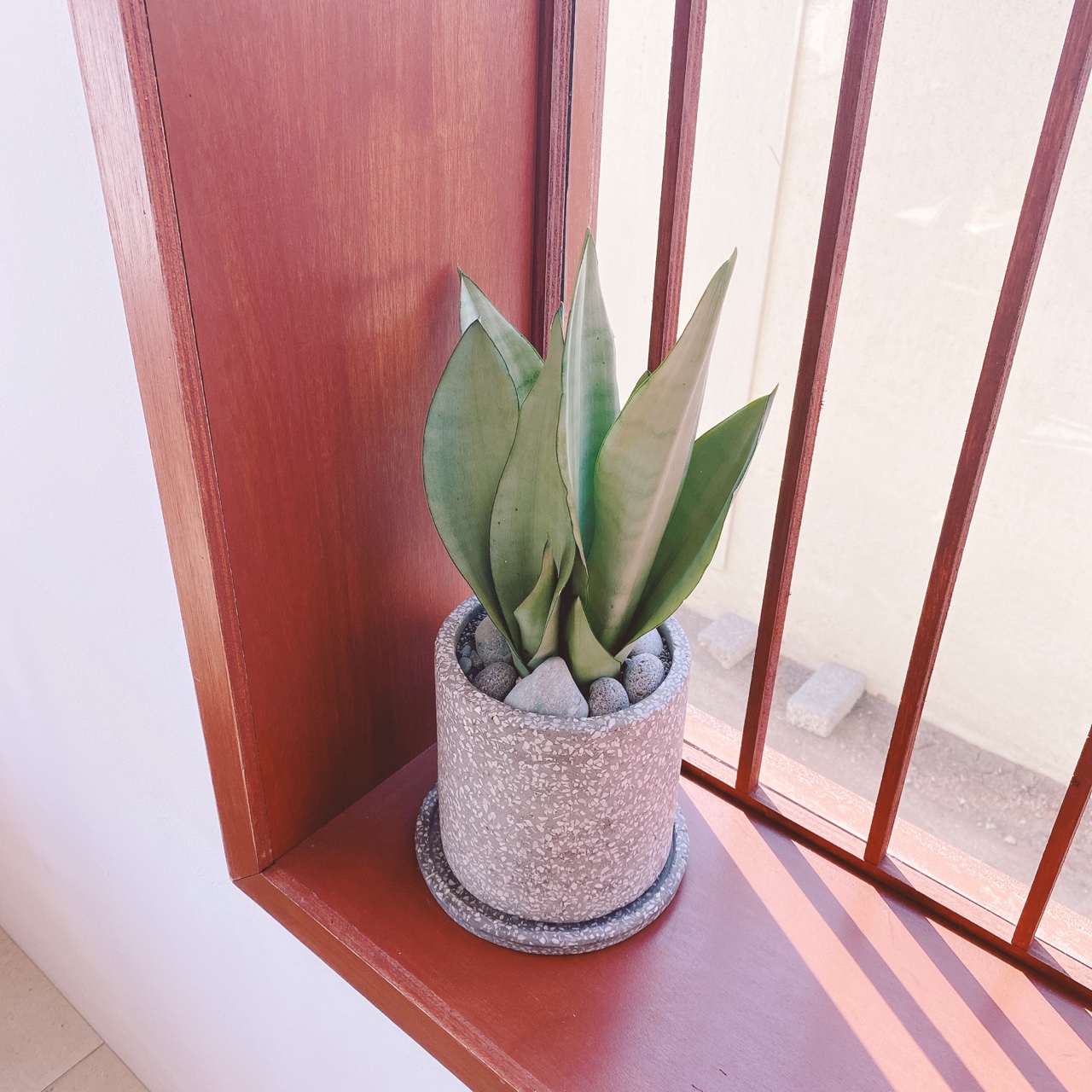 제주 고내포구 주택개조 카페 멜록