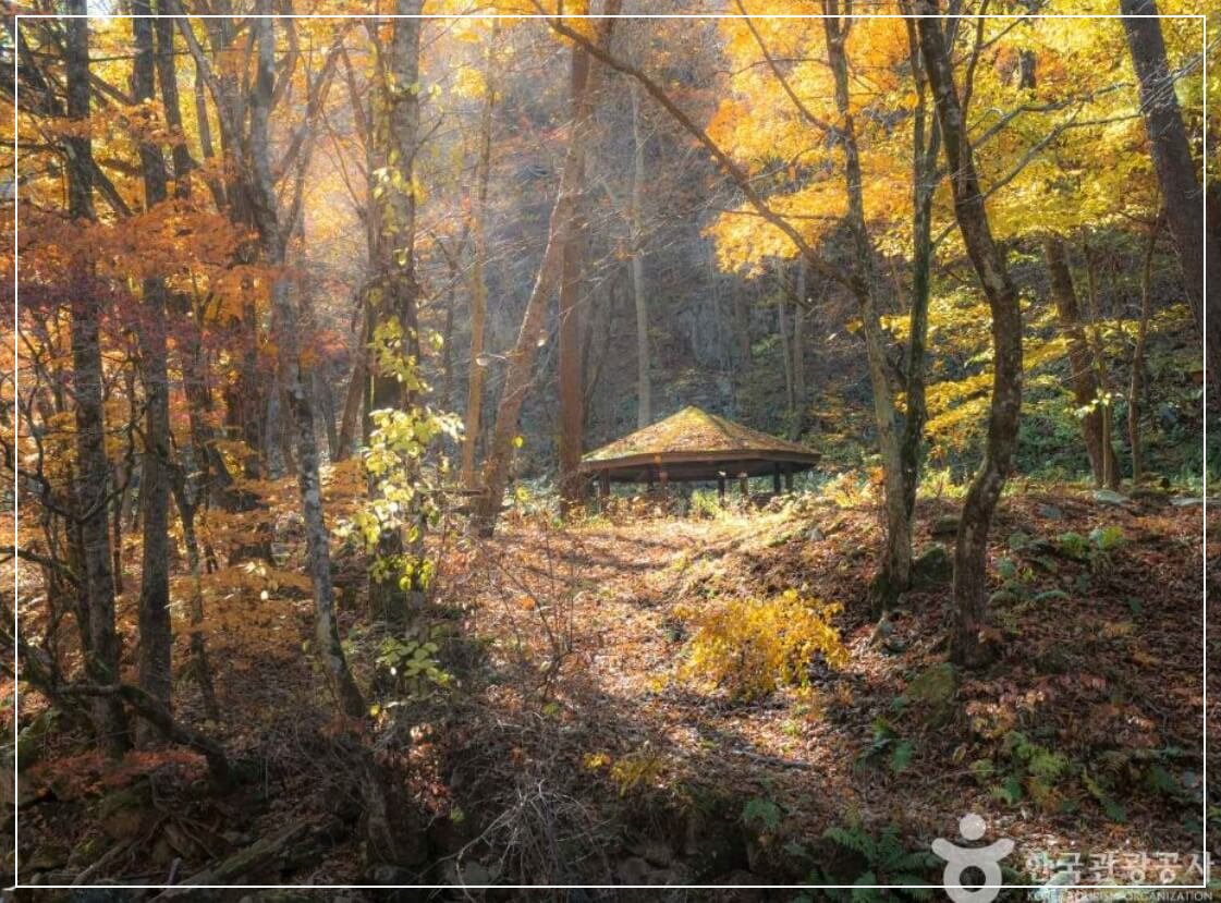 인제 가볼만한곳 베스트10 방태산 자연휴양림