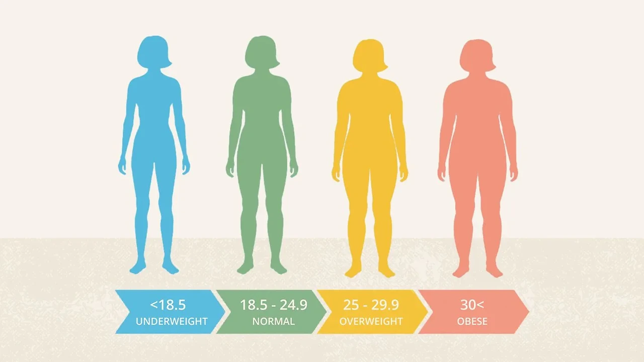 bmi 지수 정상범위