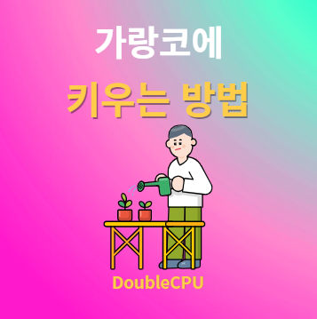 가랑코에 키우기