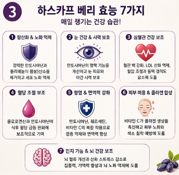 유기농-하스카프-베리-효능-분말-가루-맛-섭취방법