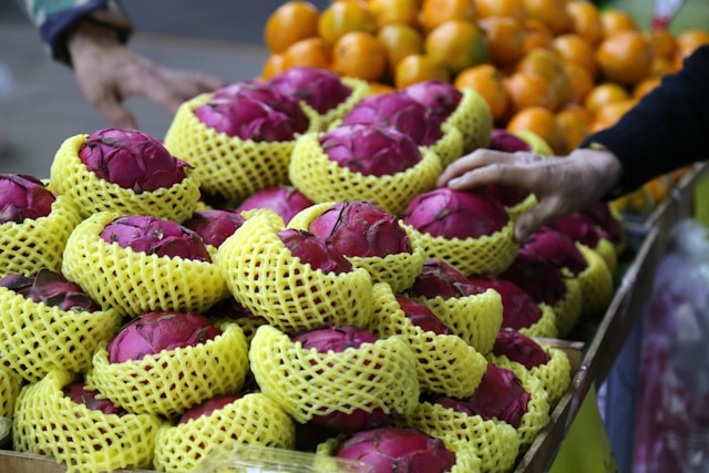 T맵 카카오내비 도착시간 정확도 비교