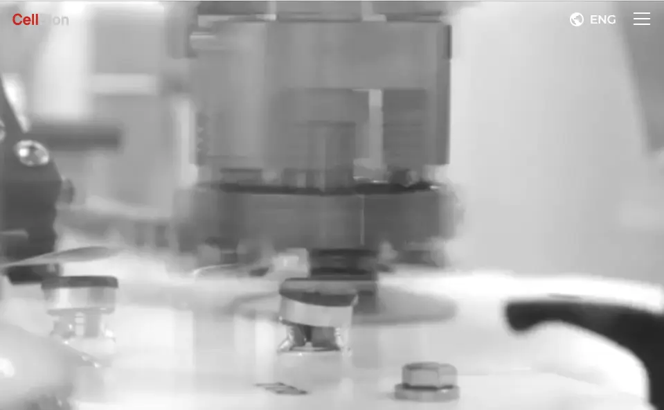 10월 공모주 기업 청약 일정