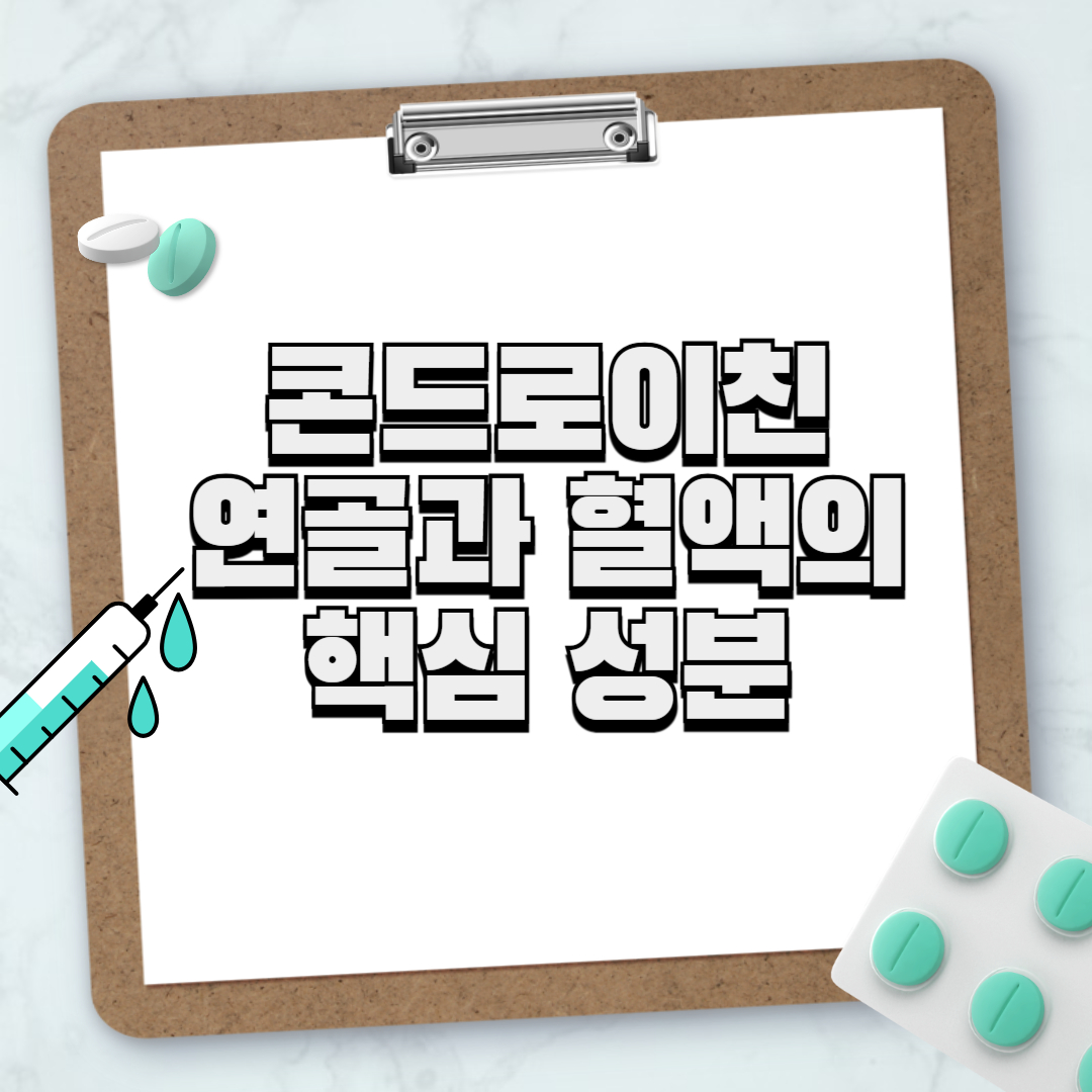 콘드로이친 연골과 활액의 핵심 성분